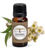 All Naturals Eucalyptus Essential Oil 15ml (Ooty) 100% Pure for Cough, Colds, Clear Breathing, Joints Pain, Mosquitos