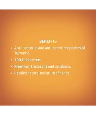 Dhathri Anti-Bacterial Turmeric Hand Wash 4