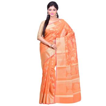 Chanderi Zari Jaal Border Pallu Saree 1