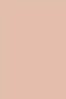 ROSARA HOME Erba Belle Pack of 4 Window Curtains