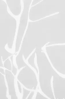 ROSARA HOME Reggio Wallace Pack of 4 Door Curtains