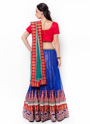 Blue Embroidered Net Semi Stitched Lehenga 3