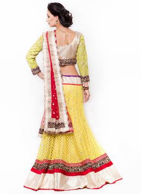 Off-White Embroidered Net Semi Stitched Lehenga 3