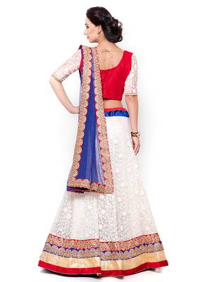 Off-White Embroidered Net Semi Stitched Lehenga 3