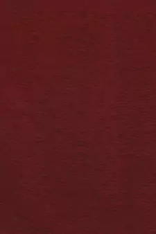 ROSARA HOME Mateo Grace Voile Pack of 4 Door Curtains