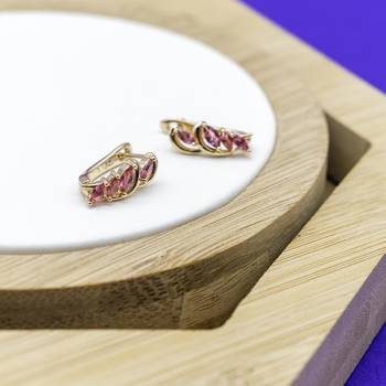 Gold earrings 1