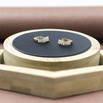Gold earrings 1