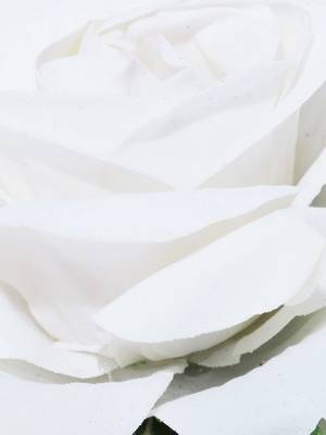 White hair-accessories 3