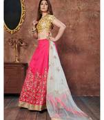 Rani-Pink Embroidered Silk Semi Stitched Lehenga