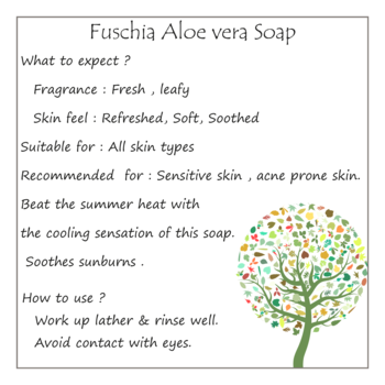 100 gms Aloe Vera Natural Handmade Herbal Soap By Fuschia 3