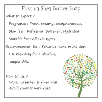 100 gms Shea Butter Natural Handmade Herbal Soap By Fuschia 3