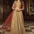 Gold Embroidered Net Salwar
