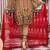 Beige Embroidered Chiffon Salwar