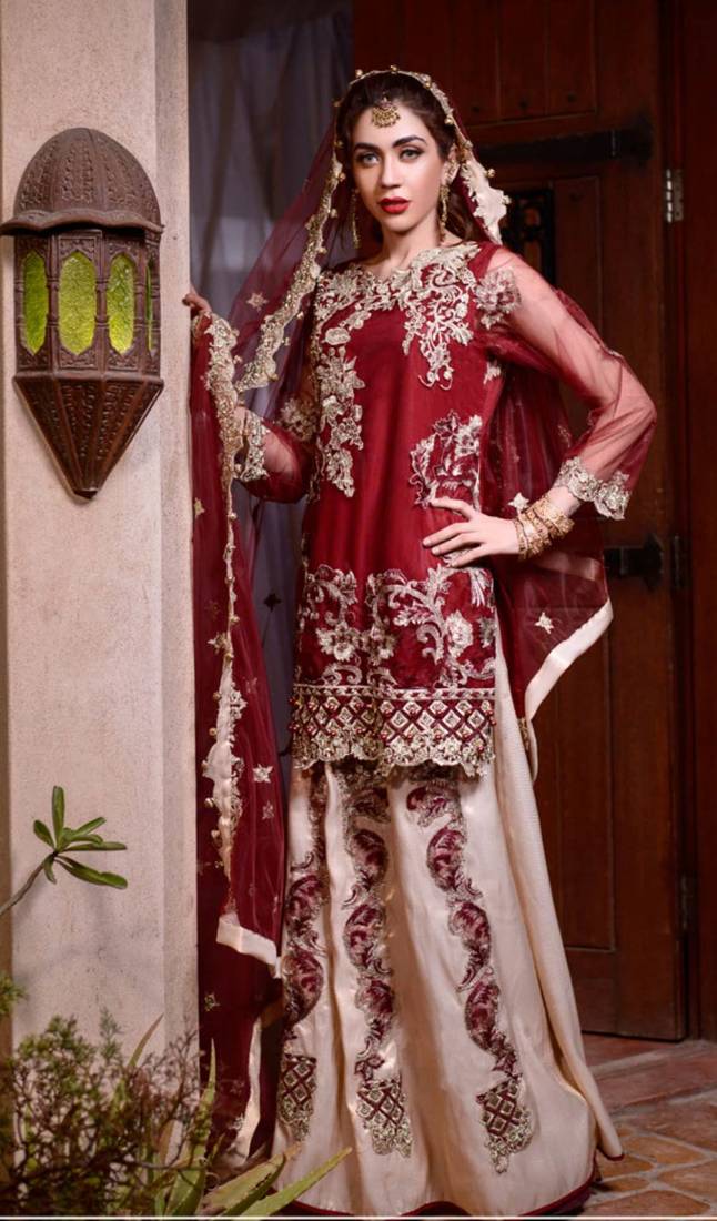 Red Embroidered Chiffon Salwar