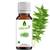 500 ml Neem Oil Cold Pressed By Oilcure