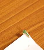 Green Onyx Nose-Ring