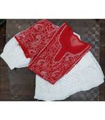 red Lucknowi Chikan Georgette Kurti Set