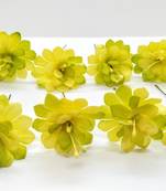 Green hair-accessories