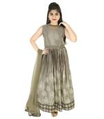 Grey Printed and Embroidered Chiffon Comtemporary Gown