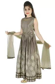 Grey Printed and Embroidered Chiffon Comtemporary Gown