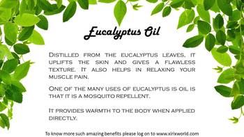12 ml Eucalyptus Essential Oil By XIRIX 3