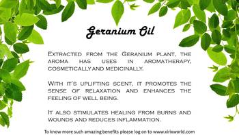 12 ml Geranium Essential Oil By XIRIX 3