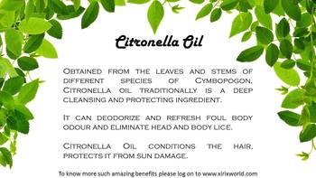 12 ml Citronella Essential Oil By XIRIX 4