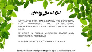12 ml Holy Basil Essential Oil By XIRIX 4