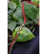 Multicolor jeweled rakhi