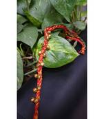 Multicolor jeweled rakhi