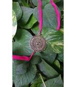 Multicolor jeweled rakhi