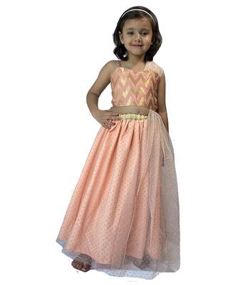 Anitabalia_Label Baby Girl's woven  crop top, dot net Lehenga choli Fully Stitched. Pink 1