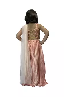 Anitabalia_Label Baby Girl's woven  crop top, dot net Lehenga choli Fully Stitched. Pink