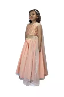 Anitabalia_Label Baby Girl's woven  crop top, dot net Lehenga choli Fully Stitched. Pink