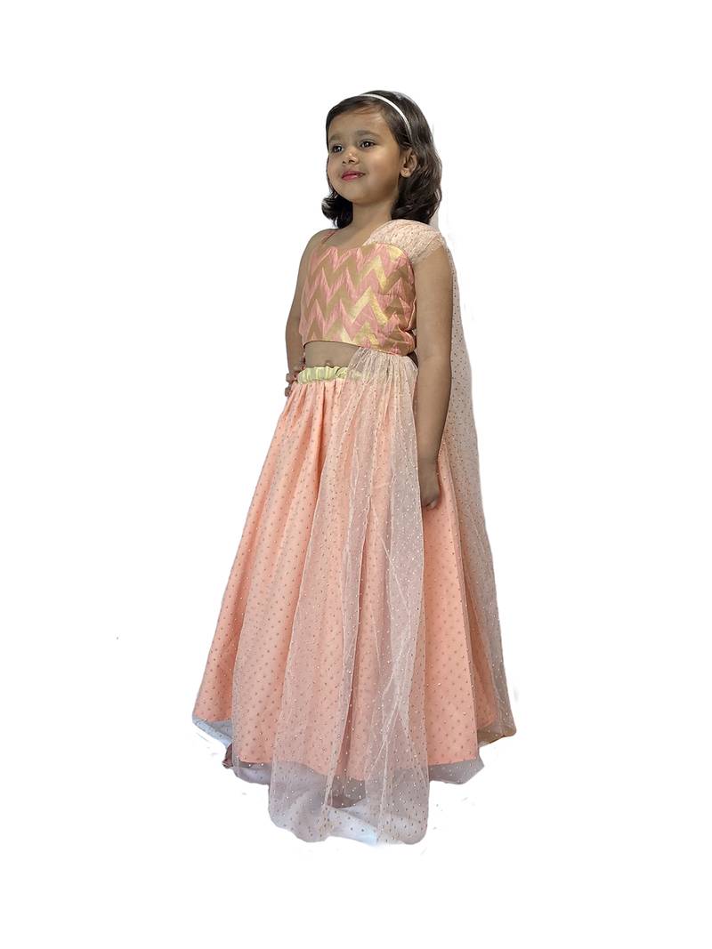 Anitabalia_Label Baby Girl's woven  crop top, dot net Lehenga choli Fully Stitched. Pink