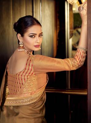 Brown embroidered silk saree with blouse 2