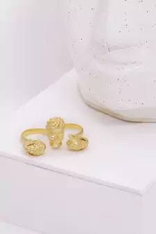 Pyaro Bana Ring