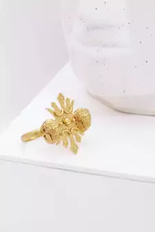 Crown Lusture  rings