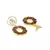 Clear Tourmaline Charm earrings