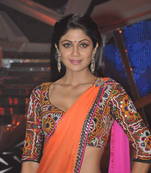 MULTICOLOR embroidered GEORGETTE saree with blouse