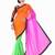 MULTICOLOR embroidered GEORGETTE saree with blouse