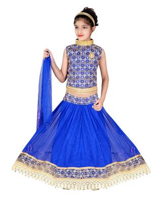 Blue Net Embroidered Lehenga Choli And Dupatta 1