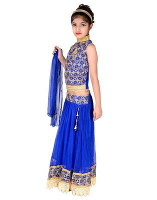 Blue Net Embroidered Lehenga Choli And Dupatta 2