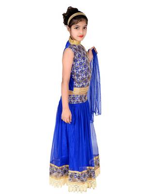Blue Net Embroidered Lehenga Choli And Dupatta 3