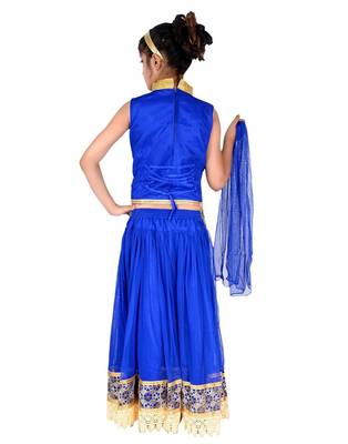 Blue Net Embroidered Lehenga Choli And Dupatta 4