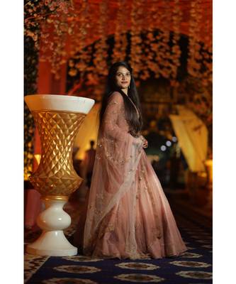 Brown Shaded Net Hand Work Stichhed Lehenga Choli 2