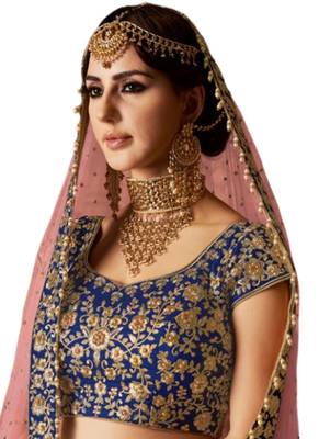 Blue Coloured Dupion Silk Embroidered Lehenga Choli With Dupatta 2