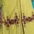 green Embroidered Georgette semi stitched salwar with dupatta