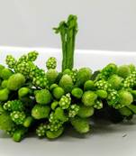 Green hair-accessories