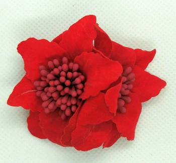 Red hair-accessories 1